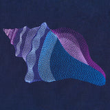 Lovely Lightning Whelk Shell