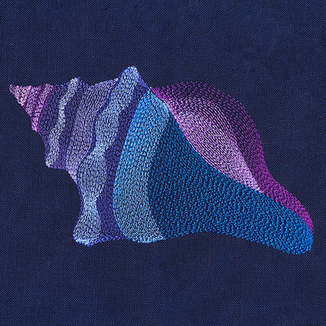 Lovely Lightning Whelk Shell