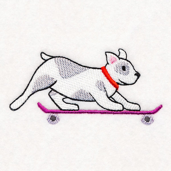 Cruising French Bulldog
