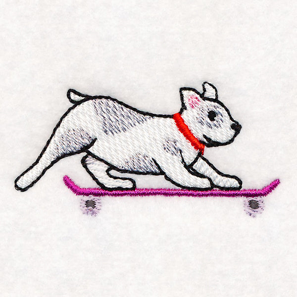 Cruising French Bulldog