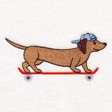 Cruising Dachshund