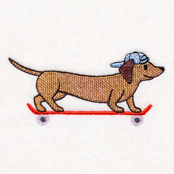 Cruising Dachshund