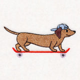Cruising Dachshund