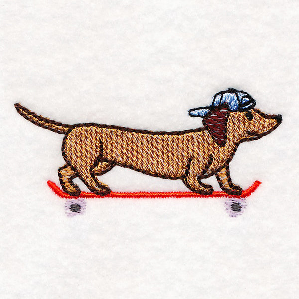 Cruising Dachshund