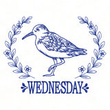 Coastal Sandpiper on Wednesday