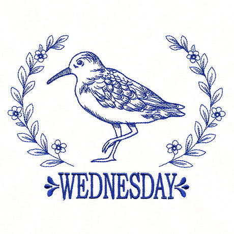 Coastal Sandpiper on Wednesday