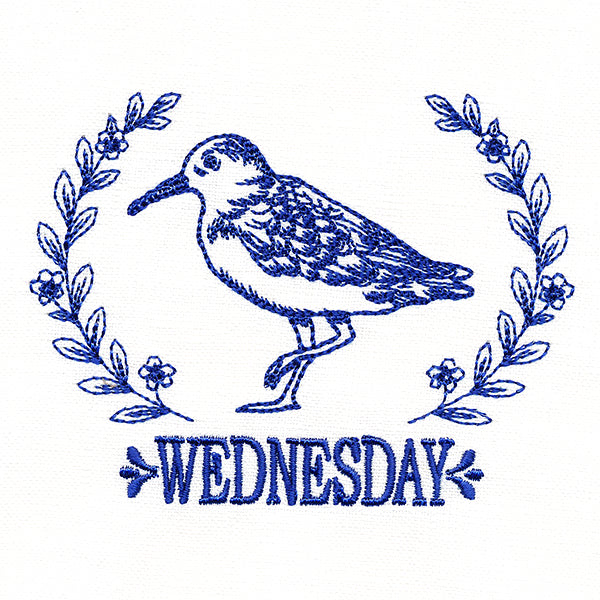 Coastal Sandpiper on Wednesday