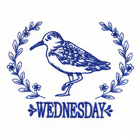 Coastal Sandpiper on Wednesday