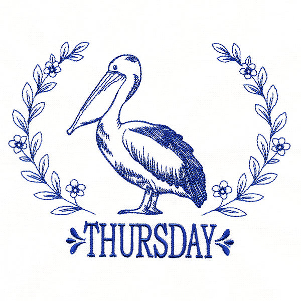 Coastal Pelican on Thursday