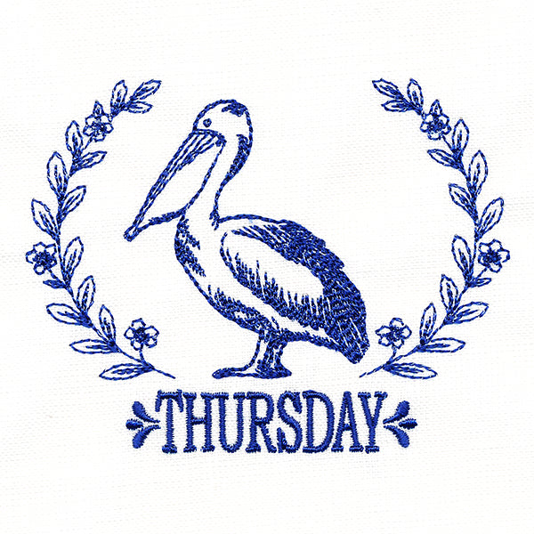 Coastal Pelican on Thursday