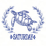 Coastal Sea Turtle on Saturday