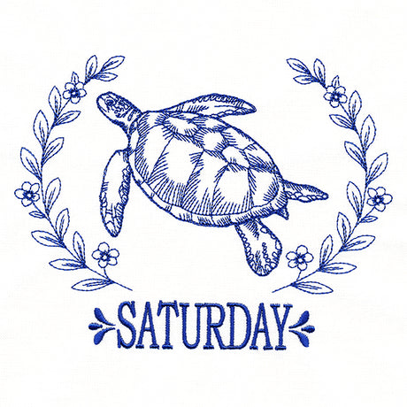 Coastal Sea Turtle on Saturday