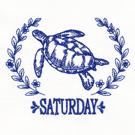 Coastal Sea Turtle on Saturday