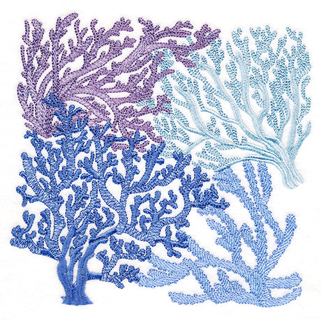 Dreamy Coral Collage