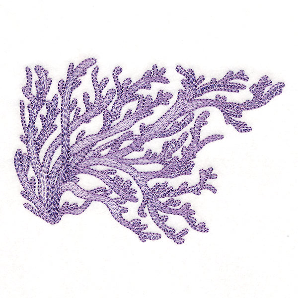 Dreamy Coral 4