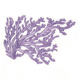 Dreamy Coral 4