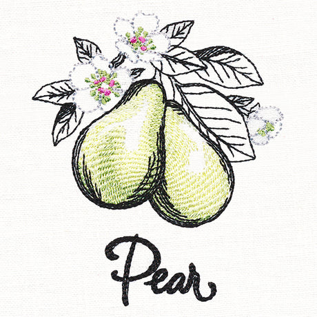 Botanical Fruits & Flowers - Pears