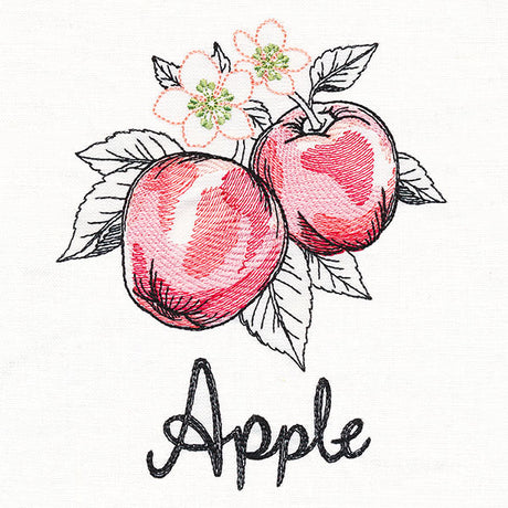 Botanical Fruits & Flowers - Apples