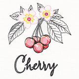 Botanical Fruits & Flowers - Cherries
