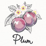 Botanical Fruits & Flowers - Plums