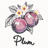 Botanical Fruits & Flowers - Plums