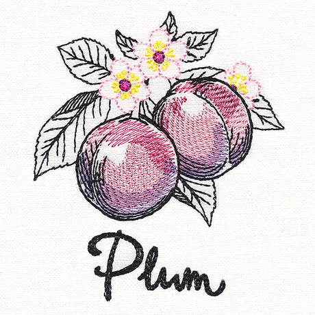 Botanical Fruits & Flowers - Plums
