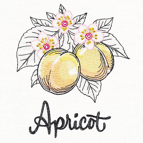 Botanical Fruits & Flowers - Apricots
