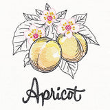 Botanical Fruits & Flowers - Apricots