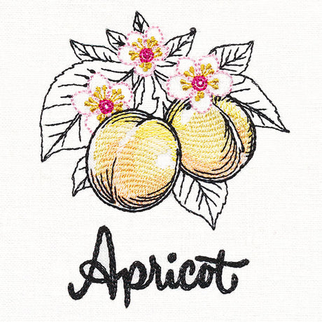 Botanical Fruits & Flowers - Apricots