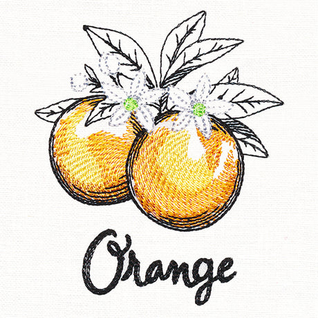 Botanical Fruits & Flowers - Oranges