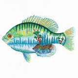 Fishscape in Watercolor