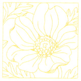 Perfect Petals Quilting - Buttercup (Double Run)