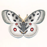 Free-Flying Apollo Butterfly (In-the-Hoop)