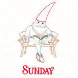 Reading Gnome on Sunday (Vintage)