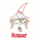 Reading Gnome on Sunday (Vintage)