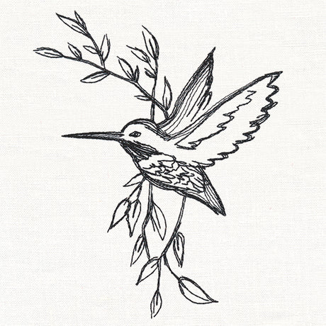 Hummingbird in Sketches