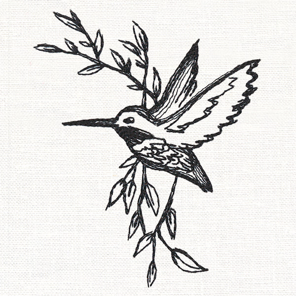Hummingbird in Sketches