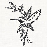 Hummingbird in Sketches