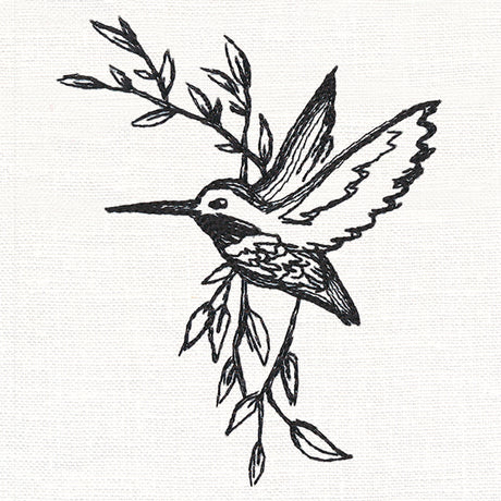 Hummingbird in Sketches