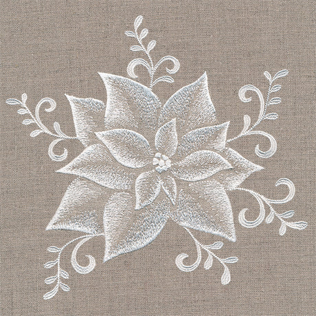 Elegance in Bloom Poinsettia