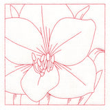 Festive Florals Quilting - Amaryllis (Double Run)