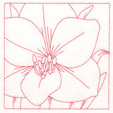 Festive Florals Quilting - Amaryllis (Double Run)
