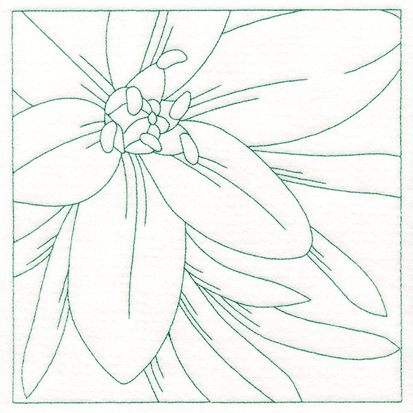 Festive Florals Quilting - Star of Bethlehem (Double Run)