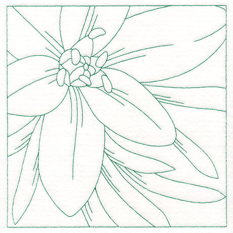 Festive Florals Quilting - Star of Bethlehem (Double Run)