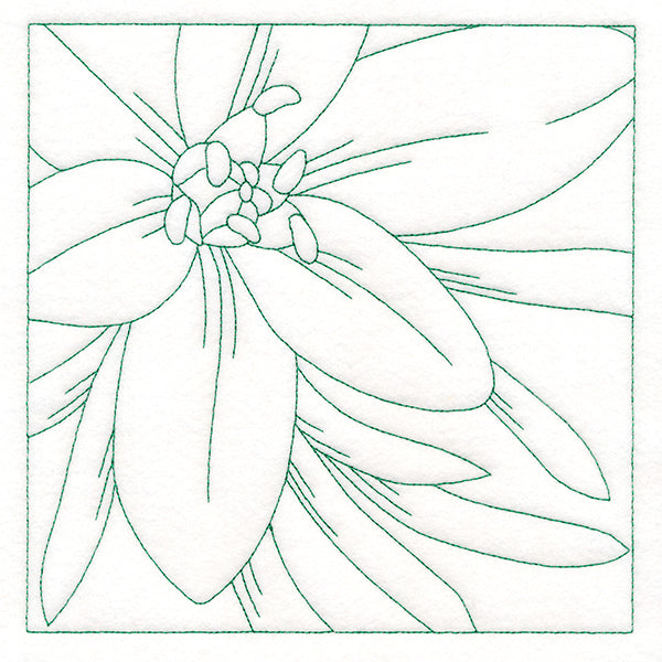 Festive Florals Quilting - Star of Bethlehem (Double Run)