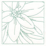 Festive Florals Quilting - Star of Bethlehem (Double Run)