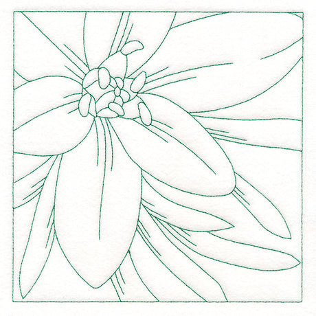 Festive Florals Quilting - Star of Bethlehem (Double Run)