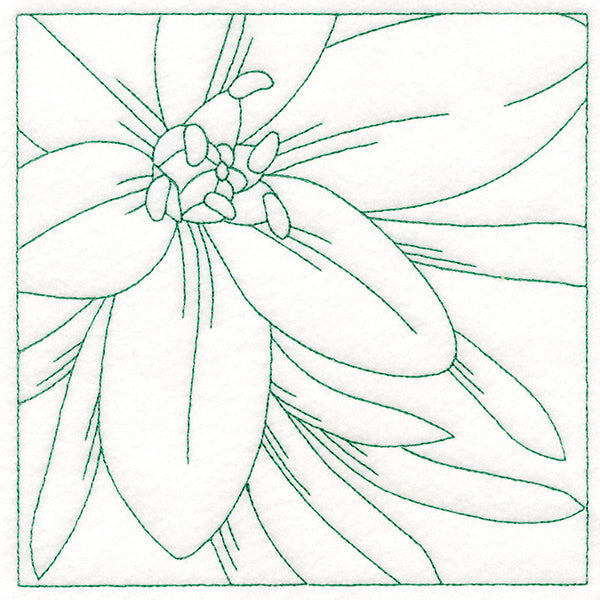 Festive Florals Quilting - Star of Bethlehem (Double Run)