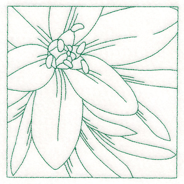 Festive Florals Quilting - Star of Bethlehem (Double Run)