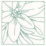 Festive Florals Quilting - Star of Bethlehem (Double Run)